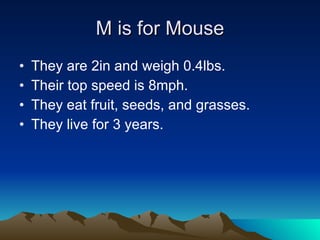 M is for Mouse They are 2in and weigh 0.4lbs. Their top speed is 8mph. They eat fruit, seeds, and grasses. They live for 3 years. 