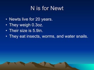 N is for Newt Newts live for 20 years. They weigh 0.3oz. Their size is 5.9in. They eat insects, worms, and water snails.  