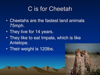 C is for Cheetah Cheetahs are the fastest land animals 75mph. They live for 14 years. They like to eat Impala, which is like Antelope.  Their weight is 120lbs.  
