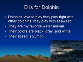 D is for Dolphin Dolphins love to play they play fight with other dolphins, they play with seaweed. They are my favorite water animal. Their colors are black, gray, and white. Their speed is 25mph.  