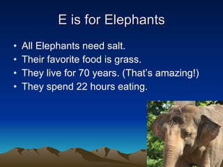 E is for Elephants All Elephants need salt. Their favorite food is grass. They live for 70 years. (That’s amazing!) They spend 22 hours eating.  