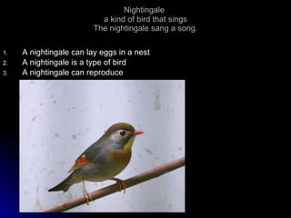Nightingale   a kind of bird that sings The nightingale sang a song. A nightingale can lay eggs in a nest A nightingale is a type of bird A nightingale can reproduce 