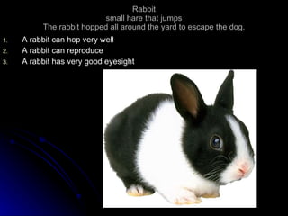 Rabbit small hare that jumps The rabbit hopped all around the yard to escape the dog. A rabbit can hop very well A rabbit can reproduce A rabbit has very good eyesight 