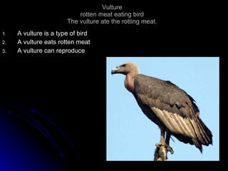 Vulture rotten meat eating bird The vulture ate the rotting meat. A vulture is a type of bird A vulture eats rotten meat A vulture can reproduce 