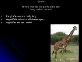 Giraffe The old man fed the giraffe at the zoo. Long necked rumnant the giraffes neck is really long  A giraffe is yellowish with brown spots A giraffes feet are hoofed 
