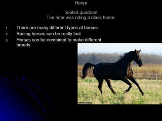 Horse hoofed quadrant The rider was riding a black horse. There are many different types of horses Racing horses can be really fast Horses can be combined to make different breeds 