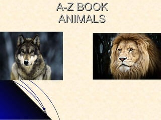 A-Z BOOK ANIMALS 