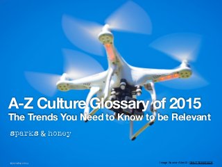 A-Z Culture Glossary of 2015
The Trends You Need to Know to be Relevant
Image Source: Allen.G / SHUTTERSTOCK
 