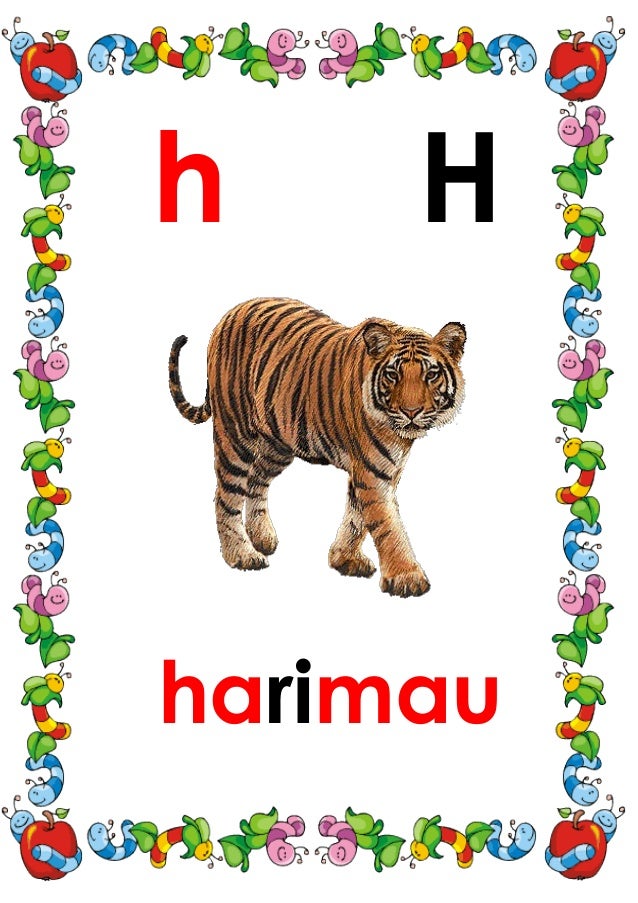 A Z Gmbr Dn Prkataan