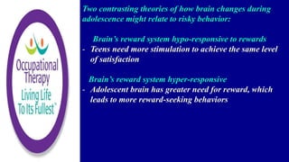 Two contrasting theories of how brain changes during
adolescence might relate to risky behavior:
Brain’s reward system hypo-responsive to rewards
- Teens need more stimulation to achieve the same level
of satisfaction
Brain’s reward system hyper-responsive
- Adolescent brain has greater need for reward, which
leads to more reward-seeking behaviors
 
