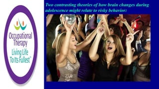 Two contrasting theories of how brain changes during
adolescence might relate to risky behavior:
 