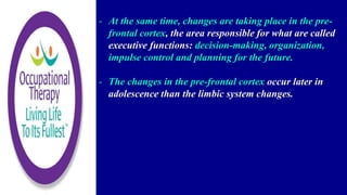 - At the same time, changes are taking place in the pre-
frontal cortex, the area responsible for what are called
executive functions: decision-making, organization,
impulse control and planning for the future.
- The changes in the pre-frontal cortex occur later in
adolescence than the limbic system changes.
 