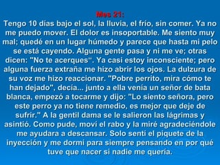 Mes 21: Tengo 10 días bajo el sol, la lluvia, el frío, sin comer. Ya no me puedo mover. El dolor es insoportable. Me siento muy mal; quedé en un lugar húmedo y parece que hasta mi pelo se está cayendo. Alguna gente pasa y ni me ve; otras dicen: "No te acerques“. Ya casi estoy inconsciente; pero alguna fuerza extraña me hizo abrir los ojos. La dulzura de su voz me hizo reaccionar. "Pobre perrito, mira cómo te han dejado", decía... junto a ella venía un señor de bata blanca, empezó a tocarme y dijo: "Lo siento señora, pero este perro ya no tiene remedio, es mejor que deje de sufrir." A la gentil dama se le salieron las lágrimas y asintió. Como pude, moví el rabo y la miré agradeciéndole me ayudara a descansar. Solo sentí el piquete de la inyección y me dormí para siempre pensando en por qué tuve que nacer si nadie me quería. 