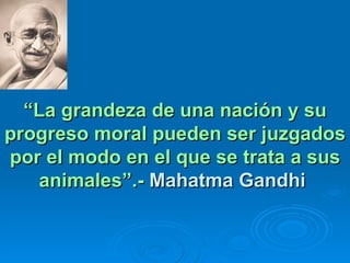 “ La grandeza de una nación y su progreso moral pueden ser juzgados por el modo en el que se trata a sus animales”.-  Mahatma Gandhi   
