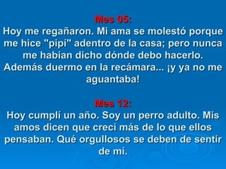 Mes 05: Hoy me regañaron. Mi ama se molestó porque me hice "pipí" adentro de la casa; pero nunca me habían dicho dónde debo hacerlo. Además duermo en la recámara... ¡y ya no me aguantaba! Mes 12: Hoy cumplí un año. Soy un perro adulto. Mis amos dicen que crecí más de lo que ellos pensaban. Qué orgullosos se deben de sentir de mí. 