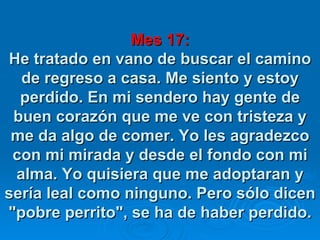 Mes 17: He tratado en vano de buscar el camino de regreso a casa. Me siento y estoy perdido. En mi sendero hay gente de buen corazón que me ve con tristeza y me da algo de comer. Yo les agradezco con mi mirada y desde el fondo con mi alma. Yo quisiera que me adoptaran y sería leal como ninguno. Pero sólo dicen "pobre perrito", se ha de haber perdido. 