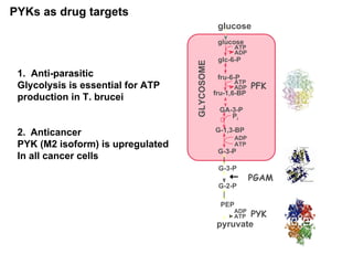 PYK_the_second_secret | PDF