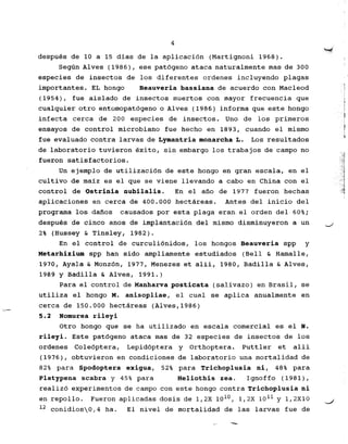 4
~
despues de 10 a 15 dias de la aplicacion (Martignoni 1968).
Begun Alves (1986), ese patogeno ataca naturalmente mas de 300
especies de insectos de log diferentes ordenes incluyendo plagas
importantes. EL bongo Beauveria bassiana de acuerdo con Macleod l
,
(1954), file aislado de insectos muertos con mayor frecuencia que 1
cualquier otro entomopatogeno 0 Alves (1986) informa que este bongo I
infecta cerca de 200 especies de insectos. Uno de log primeros j1
ensayos de control microbiano file hecho en 1893, cuando el mismo
1
fue evaluado contra larvas de Lymantria monarcha L. Los resultados
de laboratorio tuvieron exito, sin embargo log trabajos de campo no
fueron satisfactorios.
Un ejemplo de utilizacion de este bongo en gran escala, en el
cultivo de maiz es el que se viene llevando a cabo en China con el
control de Ostrinia nubilalis. En el ano de 1977 fueron hechas
aplicaciones en cerca de 400.000 hectareas. Antes del inicio del
programa log danos causados par esta plaga eran, el orden del 60%;
despues de cinco anos de implantacion del mismo disminuyeron a un -/
2% (Hussey & Tinsley, 1982).
En el control de curculionidos, log bongos Beauveria spp y
Metarhizium spp ban sido ampliamente estudiados (Bell & Hamalle,
1970, Ayala & Monzon, 1977, Menezes et alii, 1980, Badilla & Alves,
1989 y Badilla & Alves, 1991.)
Para el control de Manharva posticata (salivazo) en Brasil, se
utiliza el bongo M. anisopliae, el cual se aplica anualmente en
',,;- cerca de 150.000 hectareas (Alves, 1986)
5.2 Nomurea ~'ileyi
Otro bongo que se ha utilizado en escala comercial es el N.
rileyi. Este patogeno ataca mas de 32 especies de insectos de log
ordenes Coleoptera, Lepidoptera y Orthoptera. Puttler et alii
(1976), obtuvieron en condiciones de laboratorio una mortalidad de
82% para Spodoptera exigua, 52% para Trichoplusia ni, 48% para
Platypena scabra y 45% para Heliothis zea. Ignoffo (1981),
realizo experimentos de campo con este hongo contra Trichoplusia ni
en repollo. Fueron aplicadas dosis de l,2X 101°, l,2X 1011 Y 1,2X10 .J
12 conidios0,4 ha. El nivel de mortalidad de lag larvas file de
-" '-
 