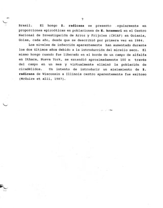 """" 7
~
Brasil. El hongo Z. radicans se presento _egularmente en
proporciones epiz06ticas en poblaciones de E. kraemeri en el Centro
Nacional de Investigaci6n de Arroz y Frijoles (CNIAF) en Goiania,
Goias, cada ana, desde que se describi6 par primera vez en 1984.
Los niveles de infecci6n aparentemente han aumentado durante
10s dog liltimos arias debido a la introducci6n del micelio seco. El
mismo hongo cuando fue liberado en el borde de un campo de alfalfa
en Ithaca, Nueva York, se ex~endi6 aproximadamente 100 m traves
del campo en un roes y virtualmente elimin6 la poblaci6n de
cicadelidos. Un intento de introducir un aislamiento de Z.
radicans de Wisconsin a Illinois centro aparentemente fue exitoso
(McGuire et alii, 1987).
~
-." ,-
.~c
:,..;2:
 