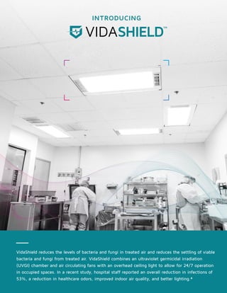 VidaShield_Trifold_Web