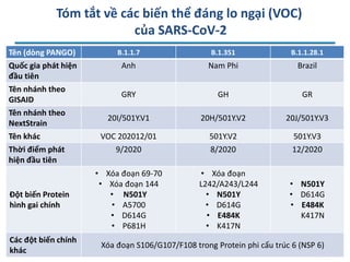 Tóm tắt về các biến thể đáng lo ngại (VOC)
của SARS-CoV-2
Tên (dòng PANGO) B.1.1.7 B.1.351 B.1.1.28.1
Quốc gia phát hiện
đầu tiên
Anh Nam Phi Brazil
Tên nhánh theo
GISAID
GRY GH GR
Tên nhánh theo
NextStrain
20I/501Y.V1 20H/501Y.V2 20J/501Y.V3
Tên khác VOC 202012/01 501Y.V2 501Y.V3
Thời điểm phát
hiện đầu tiên
9/2020 8/2020 12/2020
Đột biến Protein
hình gai chính
• Xóa đoạn 69-70
• Xóa đoạn 144
• N501Y
• A5700
• D614G
• P681H
• Xóa đoạn
L242/A243/L244
• N501Y
• D614G
• E484K
• K417N
• N501Y
• D614G
• E484K
K417N
Các đột biến chính
khác
Xóa đoạn S106/G107/F108 trong Protein phi cấu trúc 6 (NSP 6)
 