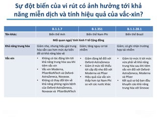 Sự đột biến của vi rút có ảnh hưởng tới khả
năng miễn dịch và tính hiệu quả của vắc-xin?
B.1.1.7 B.1.351 B.1.1.28.1
Tên khác: Biến thể Anh Biến thể Nam Phi Biến thể Brazil
Mối quan ngại/ tình hình Y tế Cộng đồng
Khả năng trung hòa Giảm nhẹ, nhưng hiệu giá trung
hòa vẫn cao hơn mức dự kiến
để có khả năng bảo vệ
Giảm; tăng nguy cơ tái
nhiễm
Giảm; có ghi nhận trường
hợp tái nhiễm
Vắc-xin • Không có tác động lớn tới
khả năng trung hòa sau khi
tiêm vắc-xin
• Vắc-xin Moderna,
PfizerBioNTech và Oxford-
AstraZeneca, Novavax.
• Không có thay đổi lớn về
khả năng phòng ngừa bệnh
của Oxford-AstraZeneca,
Novavax và PfizerBioNTech
• Giảm đáng kể đối với
Oxford-AstraZeneca
• Giảm ở mức tối thiểu
tới cấp độ nhẹ đối với
Moderna và Pfizer
• Hiệu quả của vắc-xin
thấp hơn tại Nam Phi
so với các nước khác
• Giảm từ mức ít tới mức
vừa phải về khả năng
trung hòa sau khi tiêm
vắc-xin đối với Oxford-
AstraZeneca, Moderna
và Pfizer
• Kết quả sơ bộ ban đầu
khuyến cáo khả năng
trung hòa với Sinovac
 