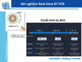 UNIVERSITY MEDICAL CENTER
Chuỗi trình tự đích
RNA sao chép
Xét nghiệm Real-time RT PCR
14
 