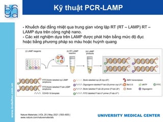 UNIVERSITY MEDICAL CENTER
Kỹ thuật PCR-LAMP
Nature Materials | VOL 20 | May 2021 | 593–605 |
www.nature.com/naturematerials
- Khuếch đại đẳng nhiệt qua trung gian vòng lặp RT (RT – LAMP) RT –
LAMP dựa trên công nghệ nano.
- Các xét nghiệm dựa trên LAMP được phát hiện bằng mức độ đục
hoặc bằng phương pháp so màu hoặc huỳnh quang
 