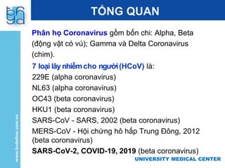 UNIVERSITY MEDICAL CENTER
UNIVERSITY MEDICAL CENTER
TỔNG QUAN
Phân họ Coronavirus gồm bốn chi: Alpha, Beta
(động vật có vú); Gamma và Delta Coronavirus
(chim).
7 loại lây nhiễmcho người(HCoV) là:
229E (alpha coronavirus)
NL63 (alpha coronavirus)
OC43 (beta coronavirus)
HKU1 (beta coronavirus)
SARS-CoV - SARS, 2002 (beta coronavirus)
MERS-CoV - Hội chứng hô hấp Trung Đông, 2012
(beta coronavirus)
SARS-CoV-2, COVID-19, 2019 (beta coronavirus)
 