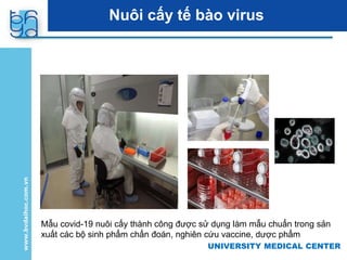 UNIVERSITY MEDICAL CENTER
Nuôi cấy tế bào virus
Mẫu covid-19 nuôi cấy thành công được sử dụng làm mẫu chuẩn trong sản
xuất các bộ sinh phẩm chẩn đoán, nghiên cứu vaccine, dược phẩm
 