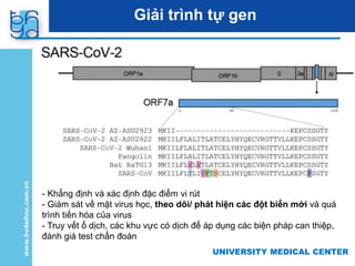 UNIVERSITY MEDICAL CENTER
Giải trình tự gen
- Khẳng định và xác định đặc điểm vi rút
- Giám sát về mặt virus học, theo dõi/ phát hiện các đột biến mới và quá
trình tiến hóa của virus
- Truy vết ổ dịch, các khu vực có dịch để áp dụng các biện pháp can thiệp,
đánh giá test chẩn đoán
 