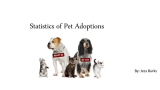 Statistics of Pet Adoptions
By: Jess Burks
 