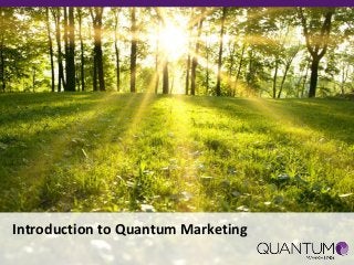 Introduction to Quantum Marketing
 