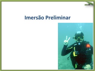 Imersão	
  Preliminar	
  

4	
  

 