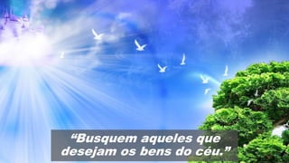 “Busquem aqueles que
desejam os bens do céu.”
 