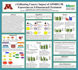 (A3)Beating Cancer: Impact of APOBEC3B
Expression on 5-Fluorouracil Treatment
Sydney Fine1, Artur Serebrenik2, Reuben Harris, Ph.D.1,2
University of Minnesota (LSSURP)1, University of Minnesota Department of Pharmacology2
Abstract
The APOBEC3 family of cytosine deaminases consists of seven
members that function as part of the innate immunity. One member,
APOBEC3B (A3B), is an endogenous source of mutation in cancer cells,
specifically in head/neck, lung, and breast cancers. A3B increases the rate
of mutation in DNA through its ability to deaminate cytosine into uracil.
The aim of this study was to determine if A3B over-expression synergizes
with 5-Fluorouracil (5-FU), an FDA-approved chemotherapeutic agent, to
promote cell death. 5-FU promotes cell death through two mechanisms.
First, 5-FU inhibits thymidylate synthase, an enzyme that converts
deoxyuridylate to deoxythymidylate. Second, 5-FU becomes incorporated
into DNA, which causes significant DNA damage. A3B was over-
expressed in a mammary epithelial cell line, MCF10A. Then, the cells
were treated with various concentrations of 5-FU. Cell viability in
response to 5-FU treatment was assessed by clonogenic survival assays,
which measure cells’ ability to proliferate. Up-regulation of A3B had little
to no effect on the efficacy of 5-FU. This research has implications in
regards to personalized treatment in cancer patients with A3B-high
tumors because treating these tumors with 5-FU may widen the
therapeutic window and allow for more effective disease treatment.
Results
Background
Conclusions and Future Directions
•  Over-expression of A3B has little to no effect on the efficacy of 5-
FU in MCF10A cells
•  Transfection, transduction, and PMA treatment are all effective
methods for obtaining cells that express A3B
•  Repeat experiments on A3B-high cell lines from cancer patients
•  Ascertain mechanism for how A3B and 5-FU complement each
other
•  Optimize transfection efficiency/PMA treatment
•  Repeat assays with other FDA-approved chemotherapeutic agent
•  Use PARP-inhibitors (veliparib and oliparib) and/or
gemcitibine instead of 5-FU as chemotherapeutic
References
1. Burns, Michael et al. “APOBEC3B: Pathological Consequences of an
Innate Immune DNA Mutator.” 38.2 (2015): 102-110. Print.
2. Harris, Reuben and Mark Liddament. “Retroviral Restriction by APOBEC Proteins.” Nature Reviews
Immunology 4 (November 2004): 868-877. Web
3. Swanton, Charles et al. “APOBEC Enzymes: Mutagenic Fuel for Cancer Evolution and Heterogeneity.
Cancer Discovery (July 2015): 1-10. Print.
Acknowledgements
The Harris lab is supported by grants from the NIH. Dr. Harris is an
Investigator of the Howard Hughes Medical Institute. The NIH provides
funding for the Cancer Research Education & Training Experience.
Hypothesis
Over-expression of APOBEC3B will synergize with the DNA-
damaging effects of 5-Fluorouracil and increase cellular toxicity
in MCF10A cells.
Results
Figure 1. This schematic depicts the current understanding of how
APOBEC3B contributes to accelerated tumorigenesis.1
Figure 2. Synthetic lethality is a useful tool to increase the level of
mutation in cells to an extreme level. In this experiment, A3B and 5-
Fluorouracil were used synergistically to determine their combined effect
on cell viability.
Figure 3. The mechanism of action for 5-FU. 5-FU acts as an antimetabolite
preventing thymidylate synthase from converting dUMP to dTMP.
Incorporation of uracil analogs into DNA and RNA can cause damage.
APOBEC3B 5-Fluorouracil
Mutation A
Effect A
Mutation B
Effect BTargeted
Cell Death
5-FU
FUTP FdUTP
FUMP
RNA
damage
DNA
damage
FdUMP
FdU
DHFU
dUMP
dTMP DNA
Cleared
TS
DNA
Methods
Transfect
cells with
A3B
Add 5-FU
to cells
Plate
clonogenic
assay
Transduce with
virus that
contains A3B
1 2
Plate
clonogenic
assay
HN
O N
H
O
F
3
HN
O N
H
O
F
Treat with
PMA
Plate
clonogenic
assay
Add 5-FU
to cells
HN
O N
H
O
F
Add 5-FU
to cells
Figure 5. Dose-response curve for
MCF10A cells treated with 5-FU at
various concentrations.
Figure 7. MCF10A cells were
transfected with A3B, A3B-DCM, or
GFP and treated with 5-FU for 48
hours at varying concentrations to
determine cell survival rate.
Figure 10. Cells were treated with
PMA/DMSO for 3, 6, 12, or 24
hours and treated with 10 µM 5-
FU. Percent survival of the cells
was measured.
Figure 4. MCF10A cells were transfected, transduced, or PMA-treated to obtain
cells that expressed A3B. Clonogenic assays, which measure a cell’s ability to
proliferate, were plated before or after the cells were treated with 5-FU. The cells
were allowed to grow for roughly one week until colonies formed. Then, the
plates were stained with crystal violet dye, and the colonies were counted.
Figure 6. MCF10A cells were
transfected with A3B, A3B-DCM, or
GFP and treated with 5-FU for 24
hours at varying concentrations to
determine cell survival rate.
1
2
3
0
25
50
75
100
125
Transfection Condition
PercentSurvival
MCF10A Survival: Transfection + 24hr 5-FU
0 nM
1 nM
10 nM
100 nM
1 uM
10 uM
A3B A3B-DCM GFP
1
2
3
0
25
50
75
100
125
Transfection Condition
PercentSurvival
MCF10A Survival: Transfection + 48hr 5-FU
0 nM
1 nM
10 nM
100 nM
1 uM
10 uM
A3B A3B-DCM GFP
1
2
3
0
25
50
75
100
125
Transfection Condition
PercentSurvival
Transfection+96hrs5FU
0 nM
1 nM
10 nM
100 nM
1 uM
10 uM
A3B A3B-DCM GFP
1
2
0
25
50
75
100
125
Transduction Condition
PercentSurvival
MCF10A Survival: Transduction + 5-FU
0 nM
1 nM
10 nM
100 nM
1 uM
10 uM
A3B A3B-DCM
1
2
0
25
50
75
100
125
150
Treatment Condition
PercentSurvival
MCF10A Survivial: shCTRL+PMA/DMSO+5-FU
0 nM
1 nM
10 nM
100 nM
1 uM
10 uM
DMSO PMA
1
2
0
25
50
75
100
125
150
Treatment Condition
PercentSurvival
MCF10A Survival: shA3B+PMA/DMSO+5-FU
0 nM
1 nM
10 nM
100 nM
1 uM
10 uM
DMSO PMA
Figure 8. MCF10A cells were
transfected with A3B, A3B-DCM, or
GFP and treated with 5-FU for 96
hours at varying concentrations to
determine cell survival rate.
Figure 9. Cells were transduced
with a virus that expressed either
A3B or A3B-DCM and treated
with 5-FU at varying
concentrations.
Figure 11. An shCTRL MCF10A
cell line was treated with PMA/
DMSO for 6 hours and then
treated with 5-FU to determine if
cell viability was correlated with
PMA treatment.
Figure 12. An shA3B MCF10A
cell line was treated with PMA/
DMSO for 6 hours and then
treated with 5-FU to determine if
cell viability was correlated with
PMA treatment.
1
2
3
4
1
2
3
4
0
25
50
75
100
125
Time PMA/DMSO (hrs)
PercentSurvival
PMA Treated
DMSO Treated
MCF10A Survival: PMA/DMSO treatment + 5-FU (10 uM)
3 36 612 1224 24
0.001 0.01 0.1 1 10 100 1000
75
85
95
105
115
125
Concentration (uM)
ColonySurvivalRate(%)
MCF10A Survival: Dose-Response Curve 5-FU
 