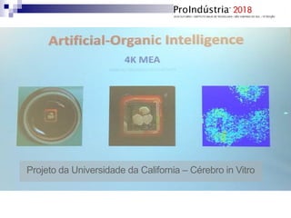Projeto da Universidade da California – Cérebro in Vitro
 