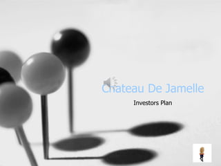 Chateau De Jamelle
Investors Plan
 