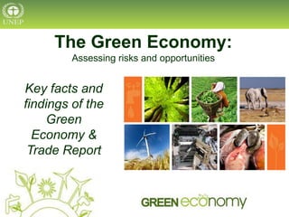 The Green Economy:
Assessing risks and opportunities
Key facts and
findings of the
Green
Economy &
Trade Report
 