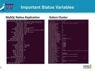Important Status Variables
MySQL Native Replication Galera Cluster
 