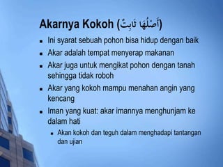 Akarnya Kokoh ( (أَصْلُهَاد ثَادبِتٌ 
 Ini syarat sebuah pohon bisa hidup dengan baik 
 Akar adalah tempat menyerap makanan 
 Akar juga untuk mengikat pohon dengan tanah 
sehingga tidak roboh 
 Akar yang kokoh mampu menahan angin yang 
kencang 
 Iman yang kuat: akar imannya menghunjam ke 
dalam hati 
 Akan kokoh dan teguh dalam menghadapi tantangan 
dan ujian 
 