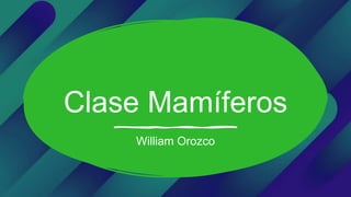 Clase Mamíferos
William Orozco
 