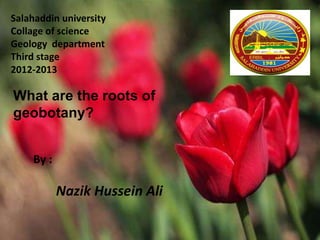 Salahaddin university
Collage of science
Geology department
Third stage
2012-2013
What are the roots of
geobotany?
By :
Nazik Hussein Ali
 