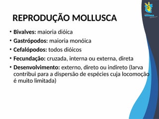 REPRODUÇÃO MOLLUSCA
• Bivalves: maioria dióica
• Gastrópodos: maioria monóica
• Cefalópodos: todos dióicos
• Fecundação: cruzada, interna ou externa, direta
• Desenvolvimento: externo, direto ou indireto (larva
contribui para a dispersão de espécies cuja locomoção
é muito limitada)
 