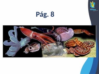 Pág. 8
 
