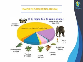 MAIOR FILO DO REINO ANIMAL
 