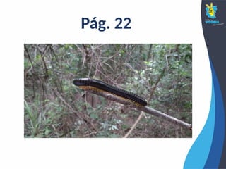 Pág. 22
 