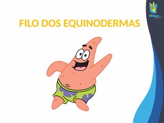 FILO DOS EQUINODERMAS
 