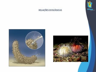 RELAÇÕES ECOLÓGICAS
 