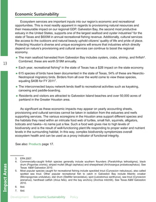13
Development Economic.Sustainability Policy
ImpactAreas
Ecosystem services are important inputs into our region’s economic and recreational
opportunities. This is most readily apparent in regards to provisioning natural resources and
their measurable impact on our regional GDP. Galveston Bay, the second most productive
estuary in the United States, supports one of the largest seafood and oyster industries3 for the
state of Texas and $600M in annual recreational fishing revenue. Additionally, cultural services
like access to the outdoors and natural beauty uphold citizens’ quality of life and pride of place.
Protecting Houston’s diverse and unique ecoregions will ensure that industries which directly
depend on nature’s provisioning and cultural services can continue to boost the regional
economy.
Economic Sustainability
The main seafood harvested from Galveston Bay includes oysters, crabs, shrimp, and finfish4.
Combined, these are worth $19M annually.
Each year, recreational fishing5 in the state of Texas has a $2B impact on the state economy.
615 species of birds have been documented in the state of Texas, 54% of these are Nearctic­
Neotropical migratory birds. Birders from all over the world come to view these species,
equaling $40B for FY 20117.
The interconnected bayou network lends itself to recreational activities such as kayaking,
canoeing and paddle­boarding.
Residents and visitors are attracted to Galveston Island beaches and over 50,000 acres of
parkland in the Greater Houston area.
3. EPA 2007.
4. Commercially­caught finfish species generally include southern flounders (Paralichthys lethostigma), black
drum (Pogonias cromis), striped mullet (Mugil cephalus) and sheepshead (Archosargus probatocephalus). See
Texas A&M Galveston 2010.
5. Most popular species caught for recreational fishing include speckled trout (Cynoscion nebulosus), also called
spotted sea trout. Other popular recreational fish to catch in Galveston Bay include Atlantic croaker
(Micropogonias undulatus), star drum (Stellifer lanceolatus), spot (Leiostomus xanthurus), sea trout (Cynoscion
arenarius), hardhead catfish (Arius felis), and the bay anchovy (Anchoa mitchilli). See Texas A&M Galveston
2010.
6. Ibid.
7. Ibid.
As significant as these economic impacts may appear on yearly accounting sheets,
provisioning and cultural services cannot be taken in isolation from the estuaries and reefs
supporting services. The various ecoregions in the Houston area support different species and
the habitats they need within an intricate food web of turtles, small fish, squirrels, alligators,
bobcats and hawks—to name just a few. Such a food web gives rise to high levels of
biodiversity and is the result of well­functioning plant life responding to proper water and nutrient
levels in the surrounding habitat. In this way, complex biodiversity symptomizes overall
ecosystem health and can be used as a proxy indicator of functional integrity.
See also: Products page 17.
 
